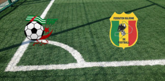 Algeria-Mali (amichevole, domenica 06 giugno ore 21:45): formazioni, quote, pronostici Formazioni Algeria-Mali