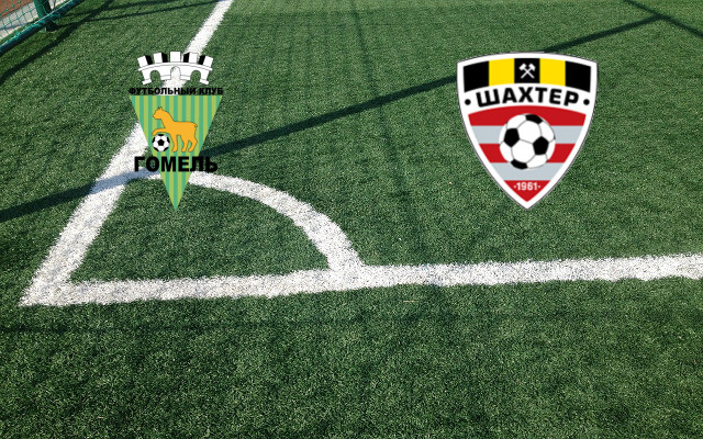 Gomel-Shakhtior Soligorsk Formazioni Gomel-Shakhtior Soligorsk