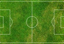 Formazioni Slavia Mozyr-FC Minsk