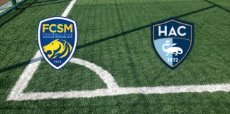 Sochaux-Le Havre (31 luglio, ore 19:00): formazioni ufficiali, quote, pronostici Formazioni Sochaux-Le Havre