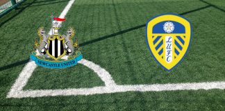 Newcastle-Leeds (17 settembre, ore 21:00): formazioni ufficiali, quote, pronostici Formazioni Newcastle-Leeds