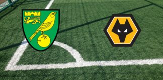 Norwich-Wolverhampton (27 novembre, ore 16:00): formazioni ufficiali, quote, pronostici Formazioni Norwich-Wolverhampton