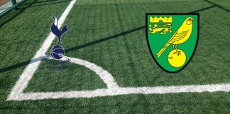Tottenham-Norwich (5 dicembre, ore 15:00): formazioni ufficiali, quote, pronostici Formazioni Tottenham-Norwich