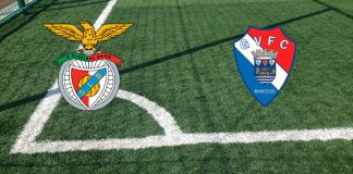 Benfica-Gil Vicente (Primeira Liga, mercoledì H 20.00): formazioni ufficiali, quote, pronostici. Aquile reduci dall’ennesima delusione Formazioni Benfica-Gil Vicente