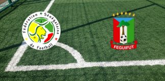 Senegal-Guinea Equatoriale (quarti Coppa d’Africa, 30 gennaio ore 20:00): formazioni ufficiali, quote, pronostici Formazioni Senegal-Guinea Equatoriale