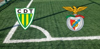 CD Tondela-Benfica (Primeira Liga, lunedì H 20.00): formazioni ufficiali, quote, pronostici. Gonçalo Ramos al fianco di Darwin Formazioni CD Tondela-Benfica