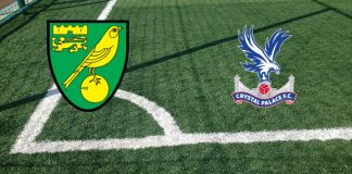 Norwich-Crystal Palace (9 febbraio, ore 20:45): formazioni ufficiali, quote, pronostici Formazioni Norwich-Crystal Palace