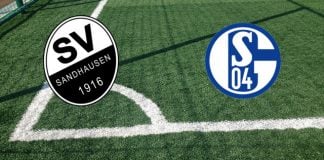 Formazioni SV Sandhausen-Schalke 04