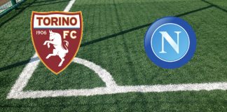 Torino-Napoli (7 maggio ore 15:00): formazioni ufficiali, quote, pronostici, azzurri con Mertens, Insigne e Osimhen Formazioni Torino-Napoli