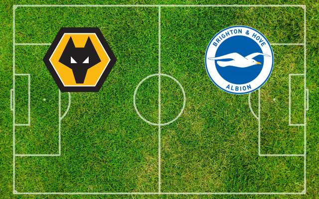 Formazioni Wolverhampton-Brighton