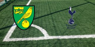 Norwich-Tottenham (22 maggio, ore 17:00): formazioni ufficiali, quote, pronostici Formazioni Norwich-Tottenham