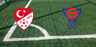 Turchia-Faroe (UEFA Nations League C, sabato 4 giugno ore 20:45): convocati, formazioni ufficiali, quote, pronostici Formazioni Turchia-Faroe