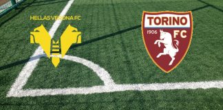 Verona-Torino (14 maggio ore 18:00): formazioni ufficiali, quote, pronostici Formazioni Verona-Torino