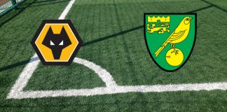 Formazioni Wolverhampton-Norwich