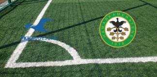 FK Haugesund-Ham Kam (Eliteserien, 10 luglio ore 20): formazioni ufficiali, quote, pronostici Formazioni FK Haugesund-Ham Kam