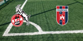 Colonia-MOL Fehervar FC (Playoff Conference League, 18 agosto ore 20:30): formazioni, quote, pronostici Formazioni Colonia-MOL Fehervar FC