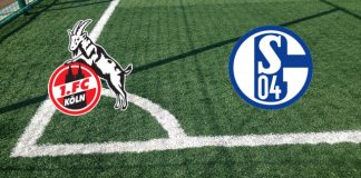 Colonia-Schalke 04 (Bundesliga, 7 agosto ore 17:30): formazioni ufficiali, quote, pronostici Formazioni Colonia-Schalke 04