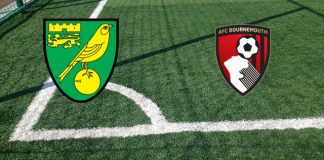 Norwich-Bournemouth (EFL Cup, 23 agosto ore 20:45): formazioni ufficiali, quote, pronostici Formazioni Norwich-Bournemouth