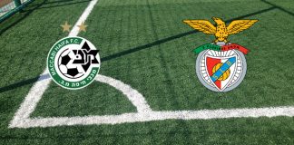Formazioni Maccabi Haifa-Benfica