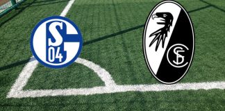 Formazioni Schalke 04-Friburgo