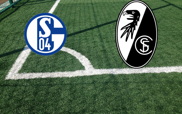 Schalke 04-Friburgo_it Formazioni Schalke 04-Friburgo