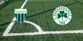 Levadiakos-Panathinaikos (martedì 03 gennaio 2023 ore 16:00): formazioni ufficiali, quote, pronostici Formazioni Levadiakos-Panathinaikos