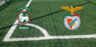 Maritimo-Benfica (domenica 12 marzo 2023 ore 19:00): formazioni ufficiali, quote, pronostici. Rafa Silva assente dell’ultima ora Formazioni Maritimo-Benfica