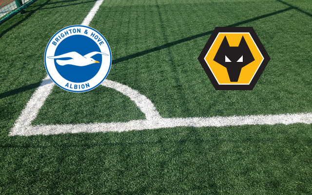 Formazioni Brighton-Wolverhampton