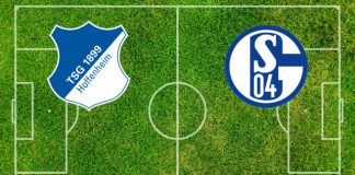Formazioni Hoffenheim-Schalke 04