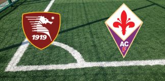 Formazioni Salernitana-Fiorentina