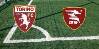 Formazioni Torino-Salernitana