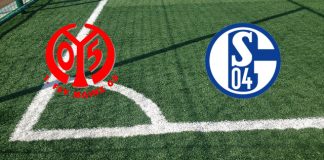 Formazioni Mainz 05-Schalke 04