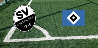 SV Sandhausen-Amburgo (domenica 28 maggio 2023 ore 15:30): formazioni ufficiali, quote, pronostici Formazioni SV Sandhausen-Amburgo