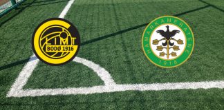 Bodo/Glimt-Ham Kam (domenica 11 giugno 2023 ore 17:00): formazioni ufficiali, quote, pronostici Formazioni Bodo/Glimt-Ham Kam