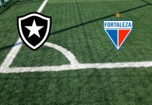 Formazioni Botafogo RJ-Fortaleza CE