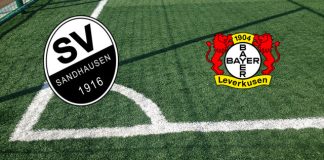 Formazioni SV Sandhausen-Leverkusen