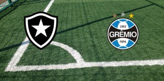 Botafogo RJ-Gremio RS (venerdì 10 novembre 2023 ore 00:00): formazioni ufficiali, quote, pronostici Formazioni Botafogo RJ-Gremio RS