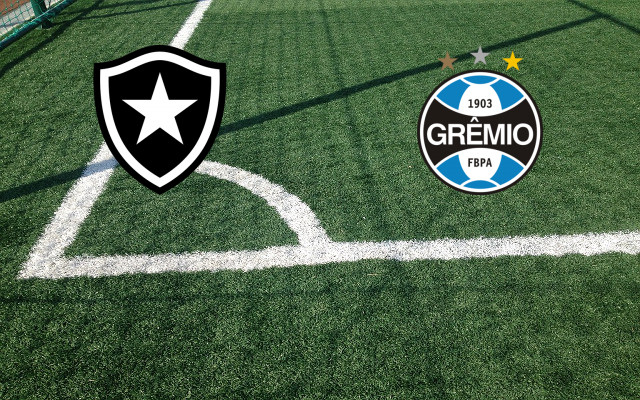 Botafogo RJ-Gremio RS_it Formazioni Botafogo RJ-Gremio RS