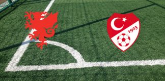 Galles-Turchia (Campionato europeo, 21-11-2023 ore 20:45 ): formazioni ufficiali, quote, pronostici Formazioni Galles-Turchia