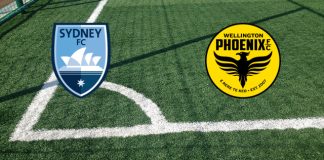 Formazioni Sydney FC-Wellington Phoenix