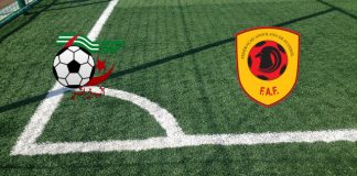 Algeria-Angola (Coppa d’Africa, 15-01-2024 ore 21:00): formazioni ufficiali, quote, pronostici Formazioni Algeria-Angola