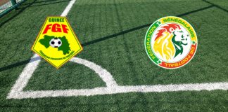 Guinea-Senegal (Coppa d’Africa, 23-01-2024 ore 18:00): formazioni ufficiali, quote, pronostici Formazioni Guinea-Senegal