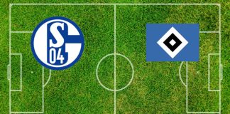 Formazioni Schalke 04-Amburgo