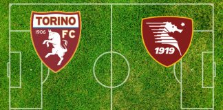 Torino-Salernitana (domenica 04 febbraio 2024 ore 12:30): formazioni ufficiali, quote, pronostici Formazioni Torino-Salernitana