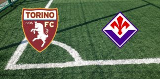 Torino-Fiorentina (sabato 02 marzo 2024 ore 20:45): formazioni ufficiali, quote, pronostici Formazioni Torino-Fiorentina