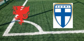 Formazioni Galles-Finlandia