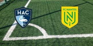 Le Havre-Nantes (domenica 14 aprile 2024 ore 13:00): formazioni ufficiali, quote, pronostici Formazioni Le Havre-Nantes