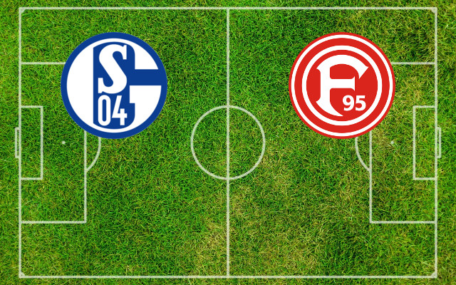 Formazioni Schalke 04-Fortuna Dusseldorf