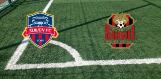 Suwon FC-FC Seoul (martedì 30 aprile 2024 ore 12:30): formazioni ufficiali, quote, pronostici Formazioni Suwon FC-FC Seoul