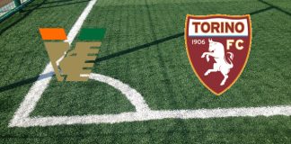 Venezia-Torino (venerdì 30 agosto 2024 ore 18:30): formazioni ufficiali, quote, pronostici Formazioni Venezia-Torino
